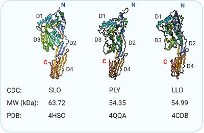 Molecular Mechanisms of Mast Cell Activation by Cholesterol-Dependent Cytolysins